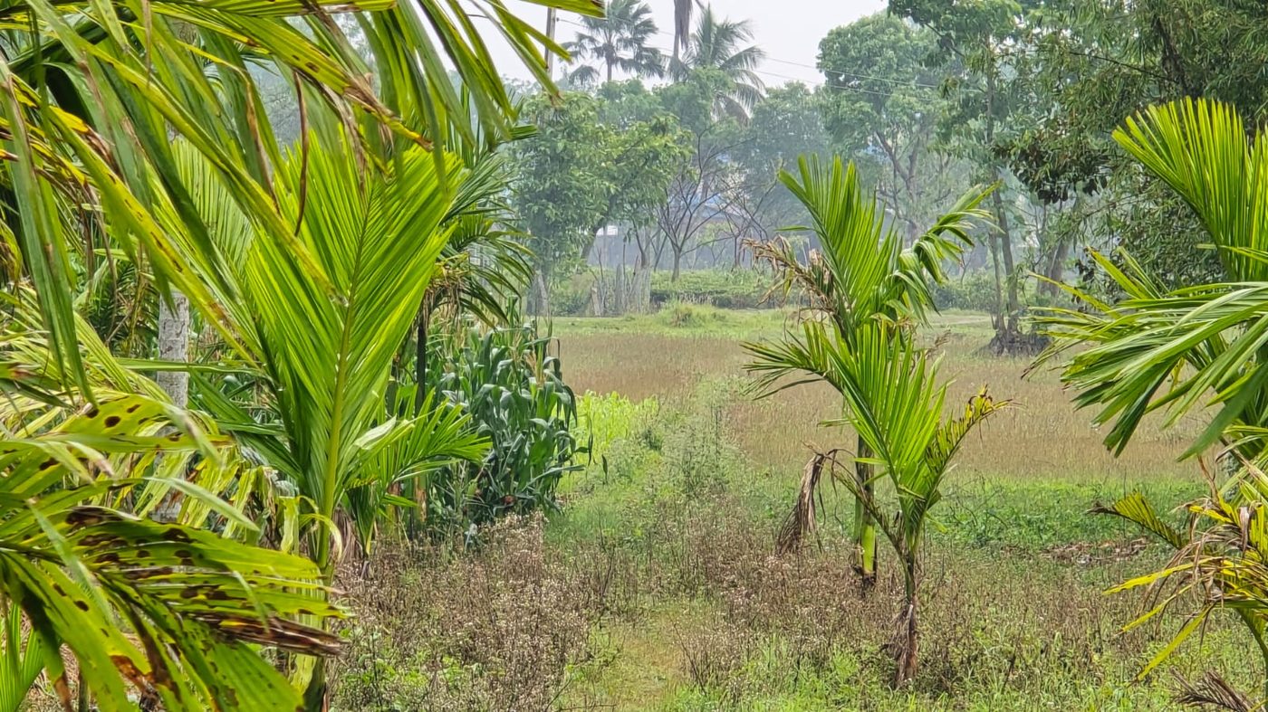 View across the farm fields